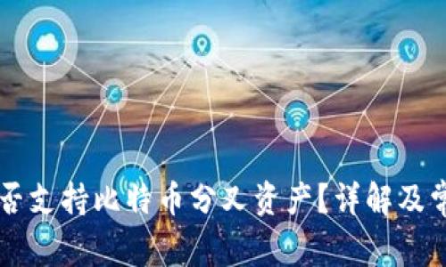 币信钱包是否支持比特币分叉资产?详解及常见问题解答