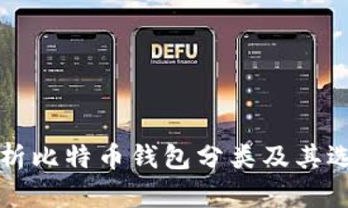 全面解析比特币钱包分类及其选择指南