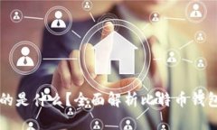 比特币钱包存的是什么？全面解析比特币钱包的