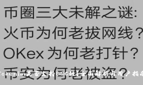 Tokenim是否支持BSC链？全面解析与用户指南