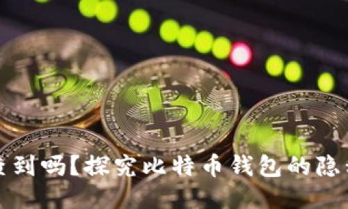 比特币钱包能查到吗？探究比特币钱包的隐私性与追踪机制