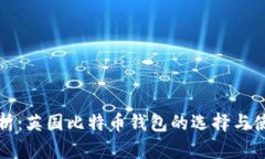 全面解析:英国比特币钱包的选择与使用指南