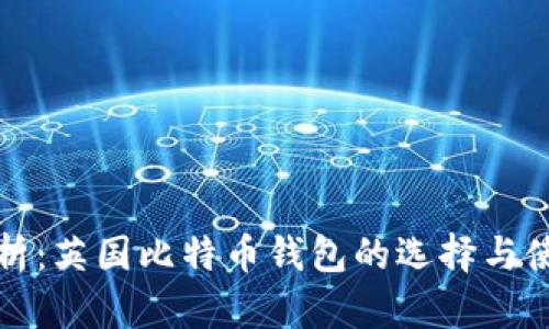 全面解析:英国比特币钱包的选择与使用指南