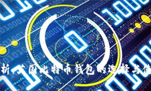 全面解析:英国比特币钱包的选择与使用指南