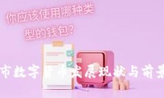 韶关市数字货币发展现状与前景分析