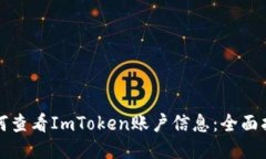 如何查看ImToken账户信息:全面指南