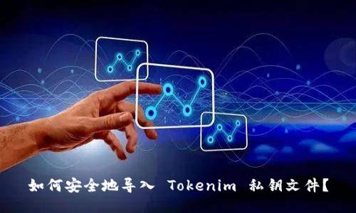 如何安全地导入 Tokenim 私钥文件？