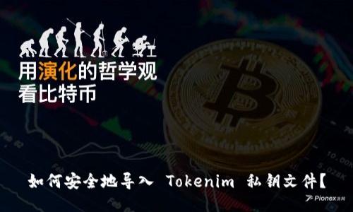 如何安全地导入 Tokenim 私钥文件？