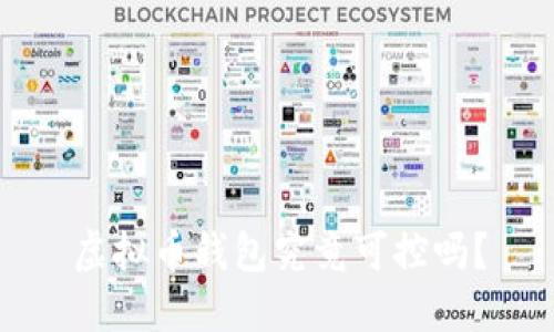 虚拟币钱包究竟可控吗？