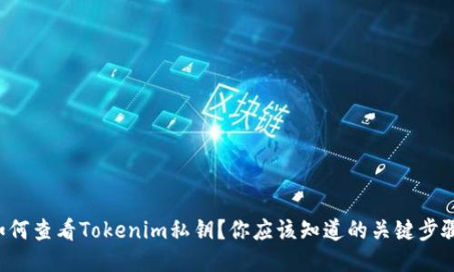 如何查看Tokenim私钥？你应该知道的关键步骤！