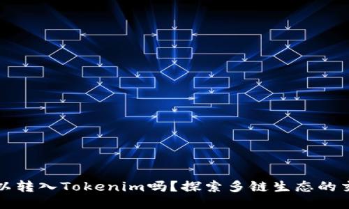 NULS币可以转入Tokenim吗？探索多链生态的交易可能性!