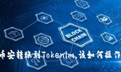 币安转账到Tokenim，该如何操作？