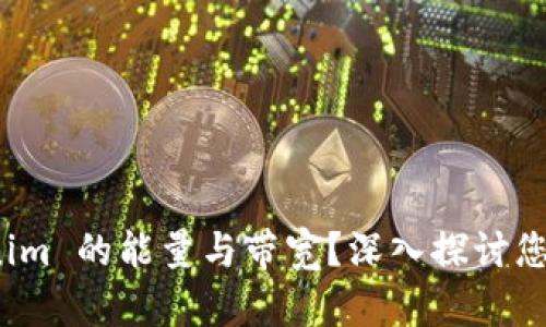 如何激活 Tokenim 的能量与带宽？深入探讨您的数字资产之路