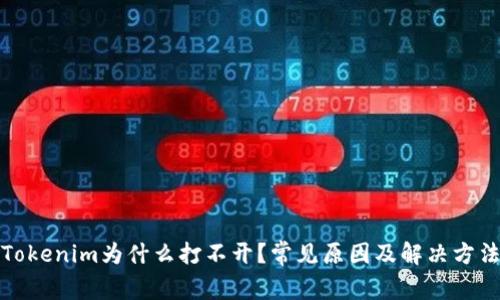 Tokenim为什么打不开？常见原因及解决方法