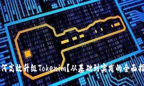如何高效升级Tokenim？从基础到实践的全面指南
