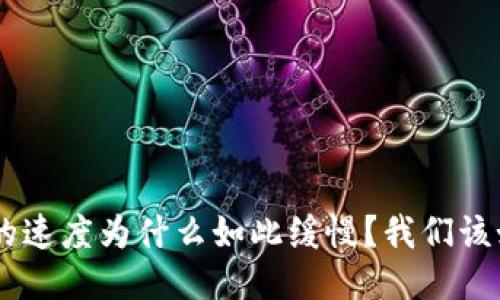 Tokenim的速度为什么如此缓慢？我们该如何应对？