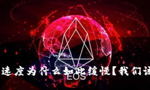 Tokenim的速度为什么如此缓慢？我们该如何应对？