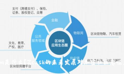 Tokenim是什么？Zcash的未来发展对加密社区意味着什么？