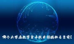 哪个大学在数字货币技术领域排名靠前？