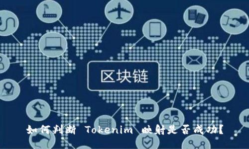 如何判断 Tokenim 映射是否成功？