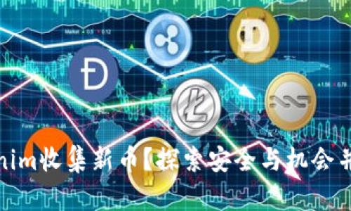 如何通过Tokenim收集新币？探索安全与机会并存的投资之路