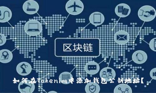 如何在Tokenim中添加钱包公钥地址？