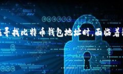 查比特币钱包地址是一个重要的主题，尤其是在