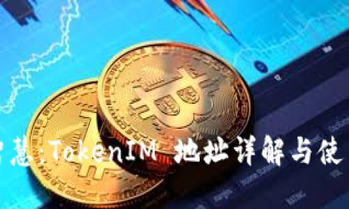: 币智慧：TokenIM 地址详解与使用指南