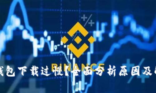 比特币钱包下载过慢？全面分析原因及解决方案