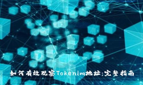 如何有效观察Tokenim地址：完整指南