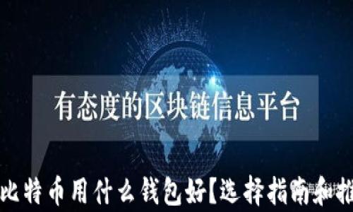 
存比特币用什么钱包好？选择指南和推荐