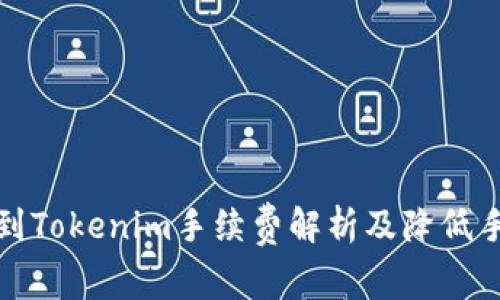 火币提币到Tokenim手续费解析及降低手续费技巧
