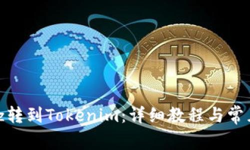 如何将Bitz转到Tokenim：详细教程与常见问题解答