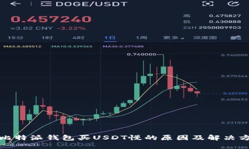 : 比特派钱包买USDT慢的原因及解决方法