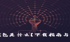 比特币钱包是什么？下载指南与使用技巧