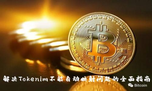 解决Tokenim不能自动映射问题的全面指南