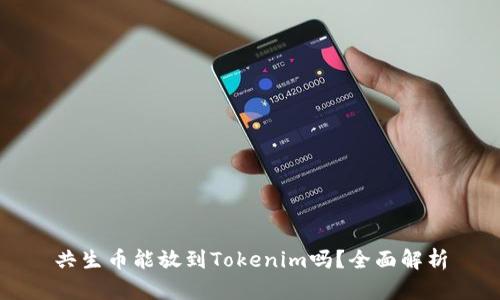 共生币能放到Tokenim吗？全面解析