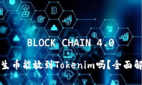 共生币能放到Tokenim吗？全面解析