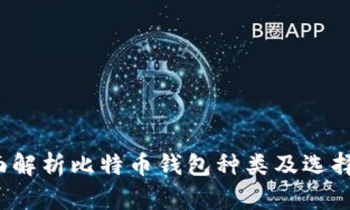  全面解析比特币钱包种类及选择指南