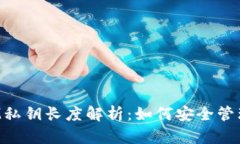 TokenIM私钥长度解析：如何安全管理与存储