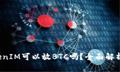 2019年TokenIM可以放BTC吗？全面解析及使用指南