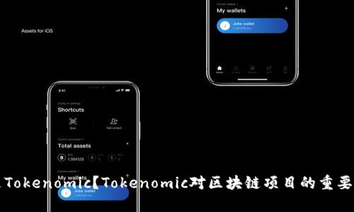 什么是Tokenomic？Tokenomic对区块链项目的重要性分析
