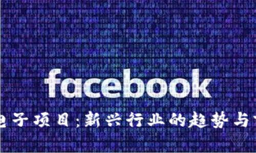 区块链电子项目：新兴行业的趋势与前景分析
